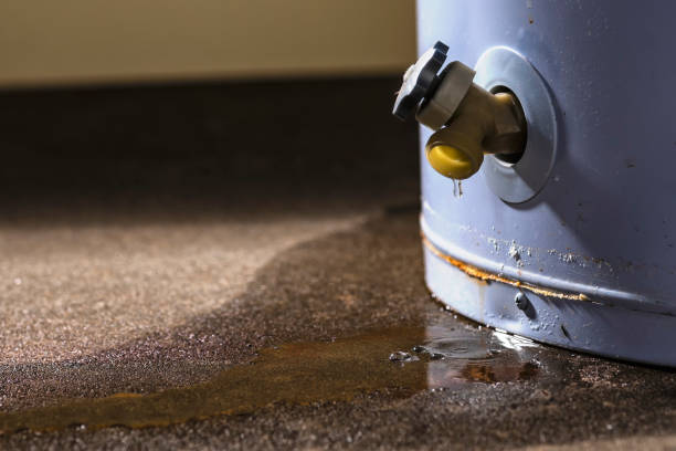 Best Flood restoration services  in Sun Village, CA