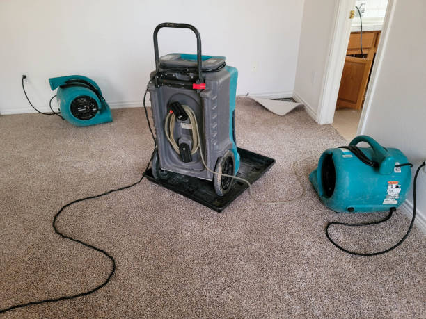 Best Professional water damage repair  in Sun Village, CA