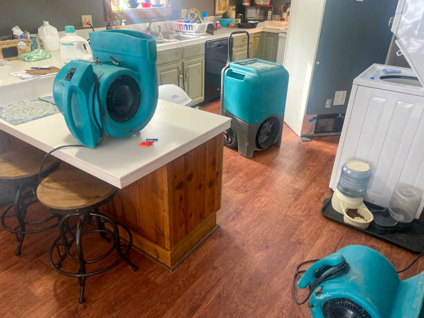 Best Water damage restoration near me  in Sun Village, CA