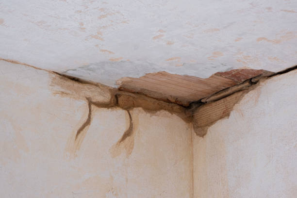 Best Water damage restoration mold remediation  in Sun Village, CA