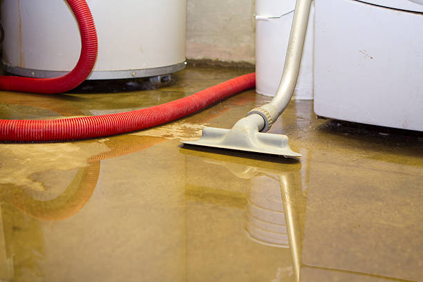 Best Residential water damage restoration  in Sun Village, CA