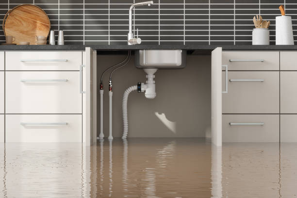  Sun Village, CA Water damage restoration Pros