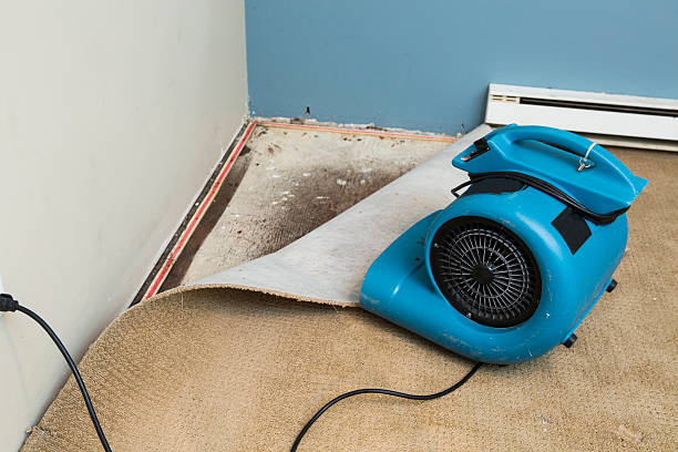 Best Local water damage restoration  in Sun Village, CA
